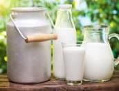 Россия запрещает поставки молочной продукции с пяти предприятий Белоруссии