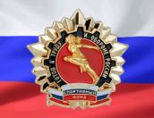 Школьники из Порховского и Дновского районов вышли в финал регионального фестиваля ГТО