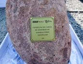 Первые резиденты вышли на площадку псковской ОЭЗ «Моглино»