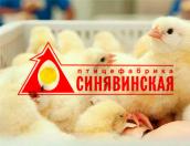 Птицефабрика «Синявинская» сменит хозяина