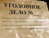 В Псковской области возбуждено уголовное дело по факту загрязнения земель куриным помётом с птицефабрики в Ленобласти