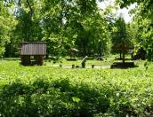 Восстановить открытую танцплощадку и вырубить кусты в парке предложили жители Порхова
