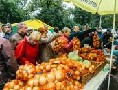 Более 180 тонн продуктов купили псковичи на осенней ярмарке
