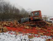 В Острове уничтожены 20 тонн томатов, ввезённых в Псковскую область под видом товара прикрытия