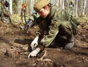  Международная «Вахта памяти» началась в Псковской области
