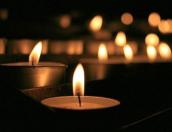 Областное управление образования выразило соболезнования родным погибших под Островом сотрудников и студента ВГСХА