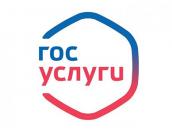 В России предлагают собирать подписи за кандидатов через портал госуслуг
