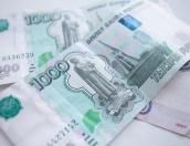 Розовый калькулятор предложила подарить Елена Полонская некоторым своим  «доброжелателям»