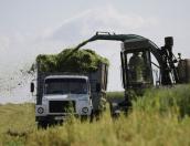 Агрогородки могут появиться в Псковской области