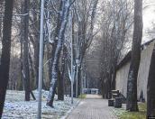 Псковичам рассказали, как избежать переломов и травм зимой