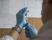 В Псковской области нет повышенного спроса на поддельные сертификаты о вакцинации