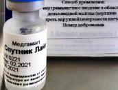Псковичам назвали преимущества вакцины «Спутник Лайт»