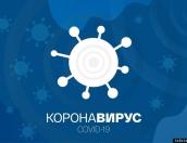 Более 238 млн человек заразились COVID-19 в мире