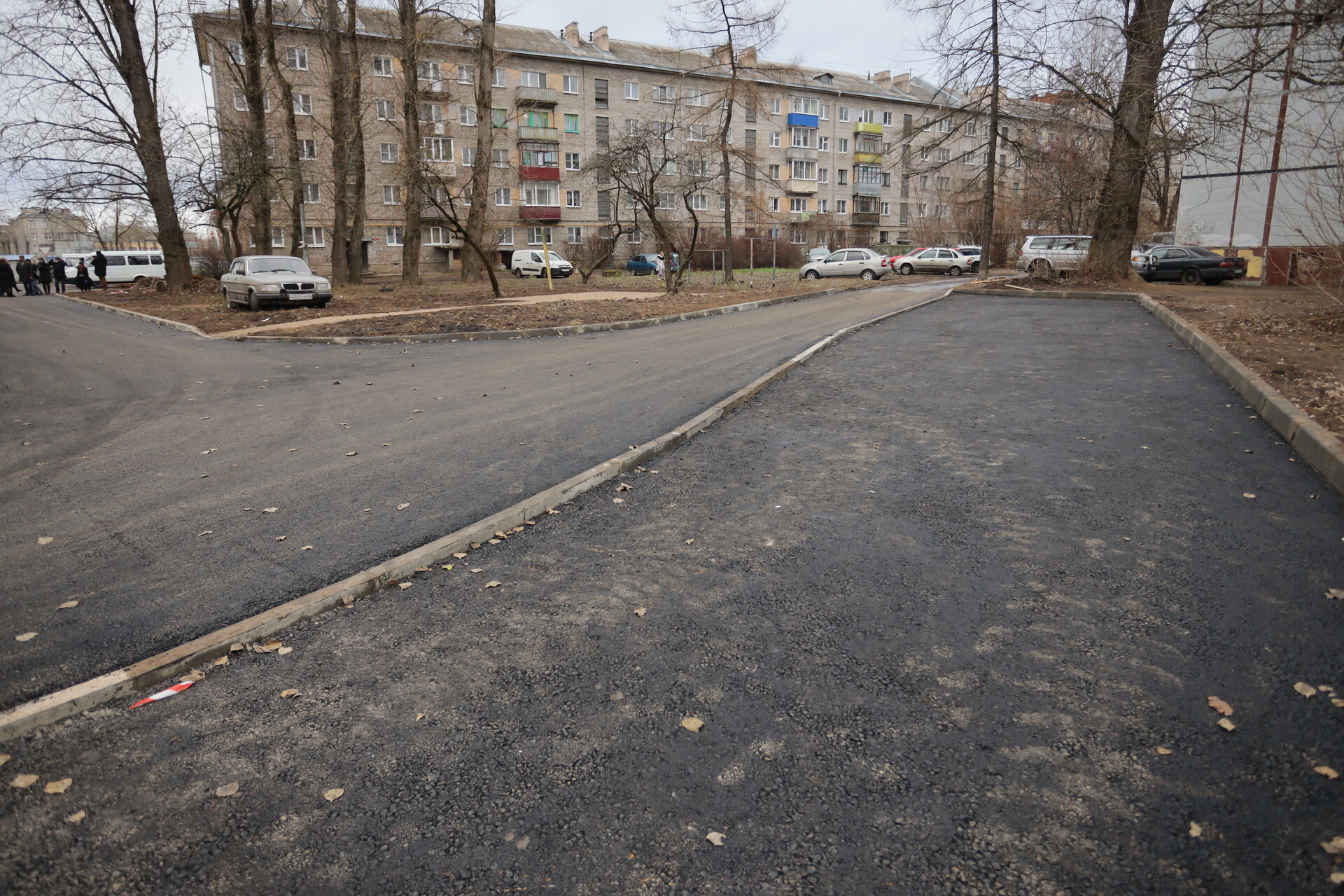 Деревня соловьи ул яна фабрициуса 29 фото