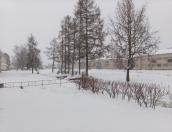1188 человек в Дедовичском районе остались без света 