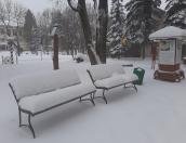590 человек в Порховском районе остались без света 