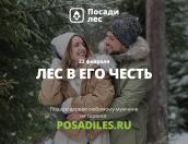 Дарить мужчинам лес вместо носков призывает псковичей движение ЭКА