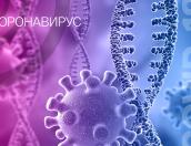 Иммунитет к коронавирусу в Санкт-Петербурге достиг 100%