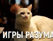 Игры разума. Сюжет ПАИ об ивентах в Пскове