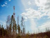 5G и устранение цифрового неравенства – итоги техразвития сети Tele2 в 2021 году