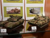 Выставка клуба стендового моделирования «Диорама» открылась в Пыталовском музее Дружбы народов