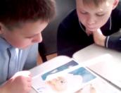 Третьеклассники из Пскова «покоряли» Арктику