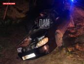 Автомобиль сбил лося на трассе в Гдовском районе