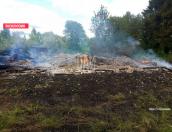 Дом сгорел в деревне Горки Красногородского района