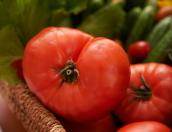 Псковские активисты начали мониторить цены на продукты