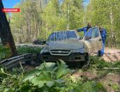 Водитель пытался скрыться после того, как на автомобиле врезался в дерево в Плюсском районе