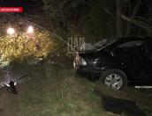 Водитель автомобиля был пьян в момент ДТП в Гдовском районе 