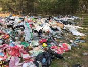 Всё своё не вожу с собой: неизвестные устроили свалку в великолукском лесу