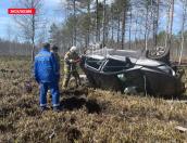 Мужчина погиб на трассе в Плюсском районе (ФОТО, ВИДЕО)