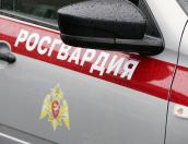 Девять упаковок сыра украл пскович 10 мая