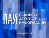 Сайт Псковского агентства информации атакуют со всего мира