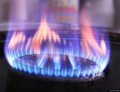 Псковичей призывают соблюдать правила пользования газом в быту