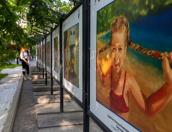 Художница из Плюсского района стала участницей выставки работ в Царицыно