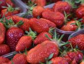 Наиболее опасные летом продукты назвала эндокринолог