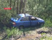 Автомобиль съехал в кювет в Порховском районе 