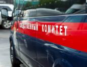 В Кировске многодетная пара шесть лет истязала дочь и распространяла с ней порнографию 