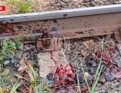 Мужчина погиб под колёсами товарного поезда в Псковской области
