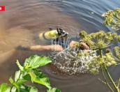 В реке Ловать обнаружено тело утонувшего мужчины 