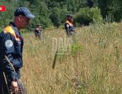 Продолжаются поиски потерявшегося мужчины в Гдовском районе 