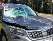 Оторвавшееся колесо едва не покалечило пассажира автомобиля на трассе Петербург – Невель