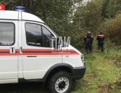 Потерявшихся в гдовском лесу людей нашли с помощью звукового сигнала 
