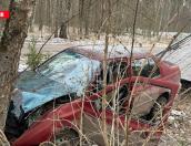 Volkswagen вылетел с трассы в Островском районе, пострадала водитель