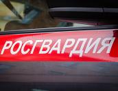 В Пскове сотрудники Росгвардии за 25 минут нашли пропавшего ребенка
