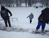 Более ста деревень Псковской области остались без света из-за снегопада