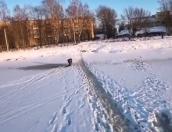 ВИДЕО В Великих Луках ребёнок чуть не провалился под лёд