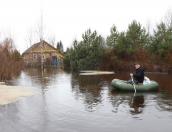 Шесть деревень Бежаницкого района частично ушли под воду